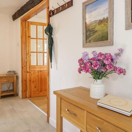 Cyffdy Cottage - Tegid Bala Extérieur photo